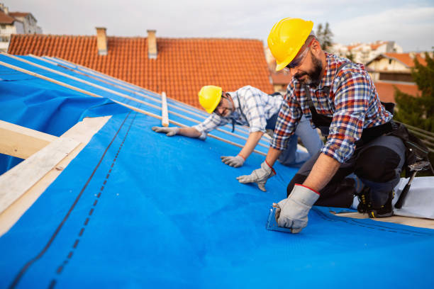Best Metal Roofing Installation  in Richwood, NJ